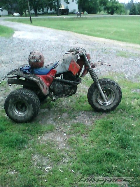 Photo 1314712