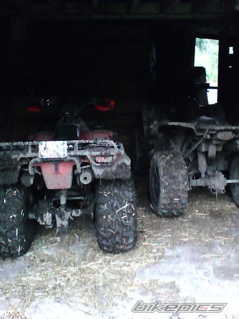 Photo 1314713