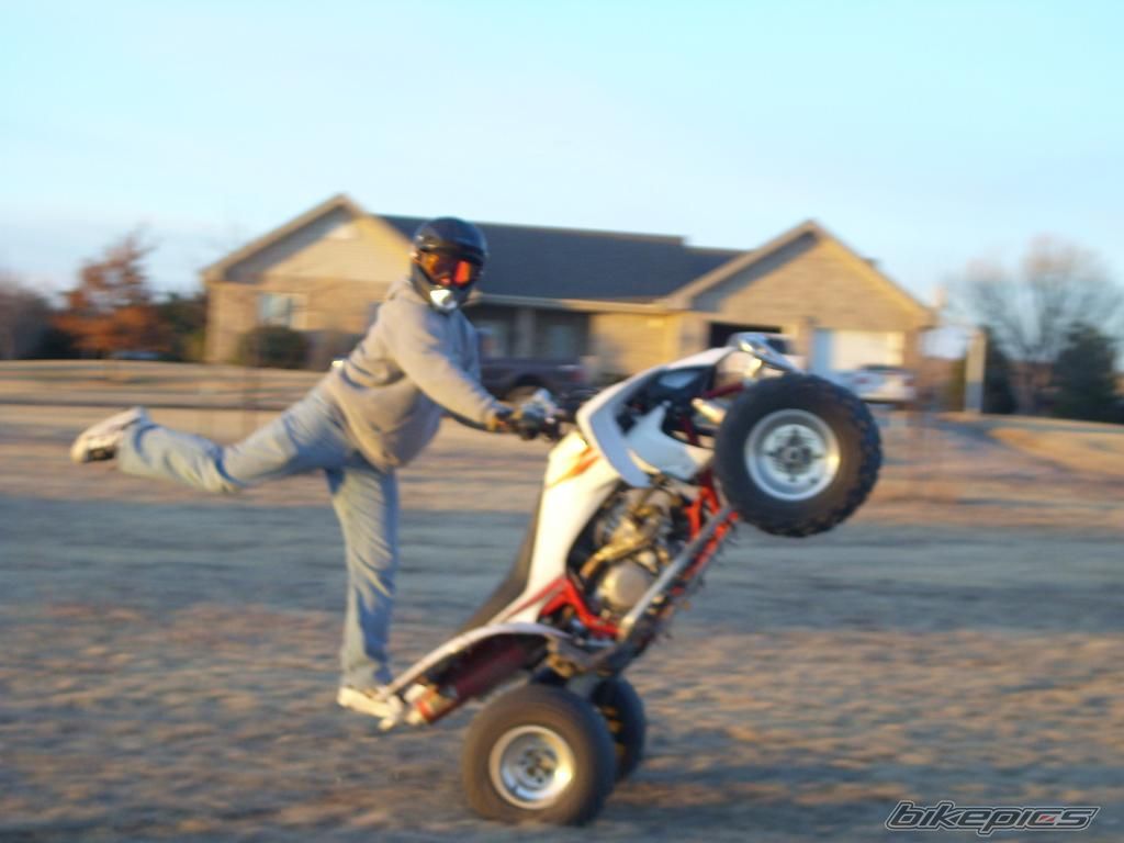 Photo 1314715