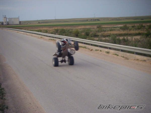 Photo 1314718