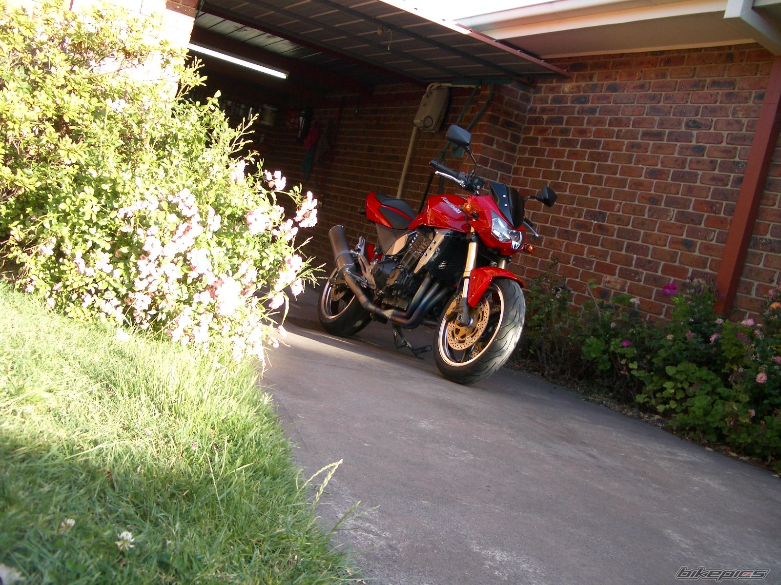 Photo 1314879