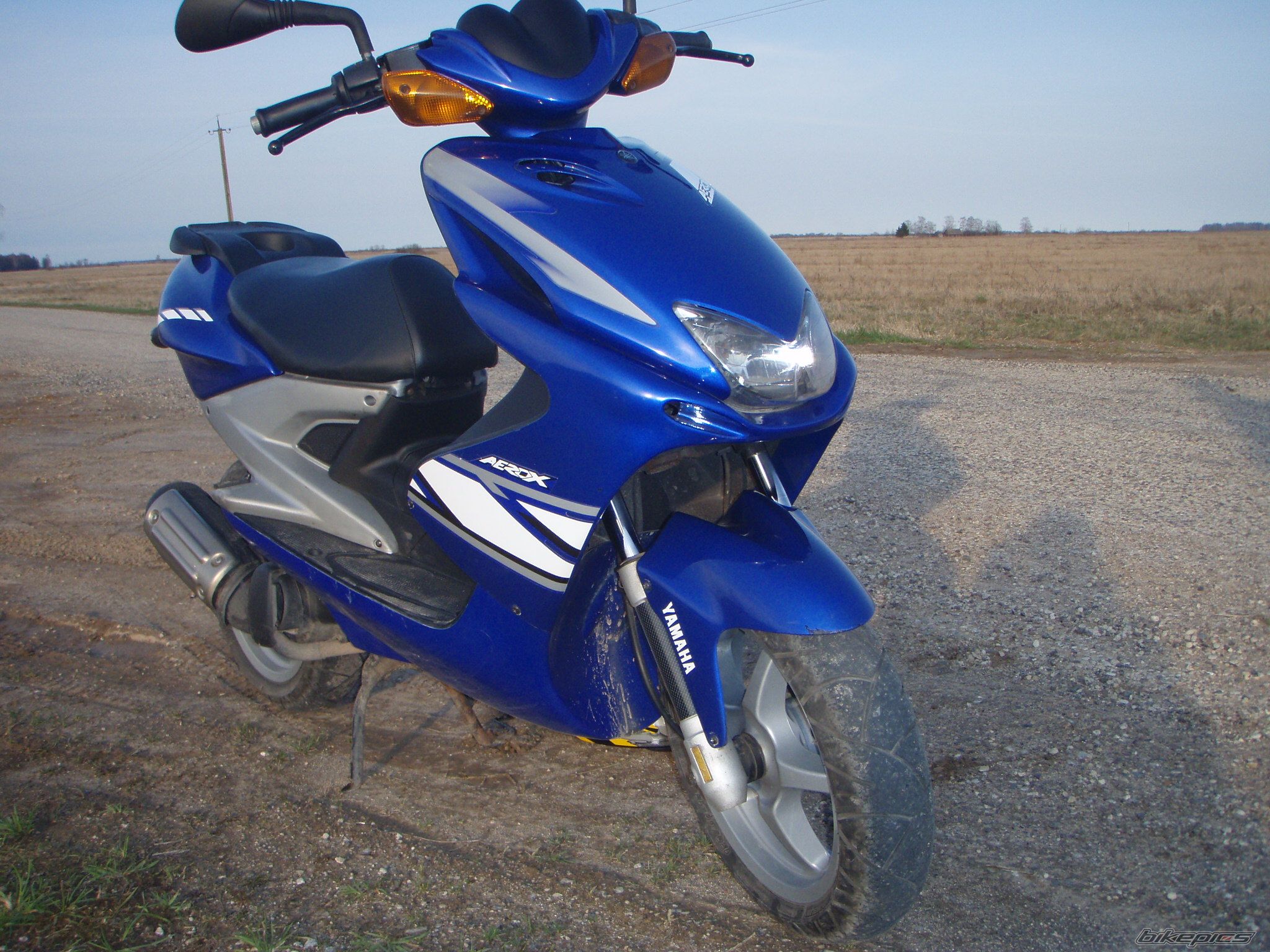 Photo 1314913