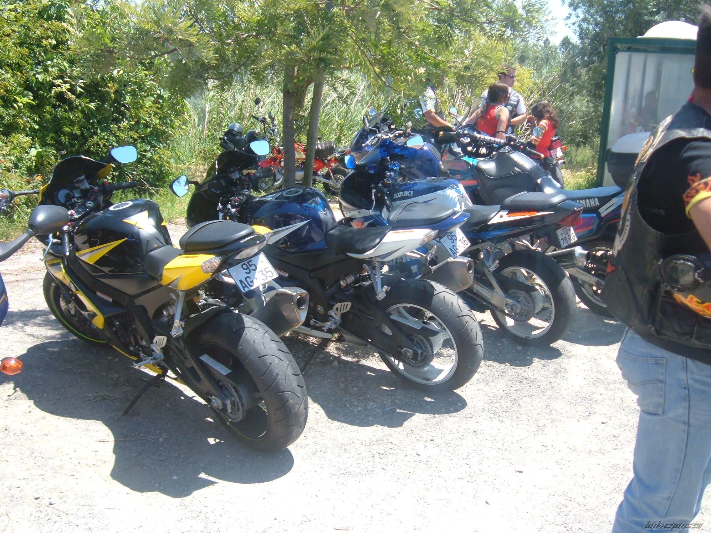 Photo 1314958