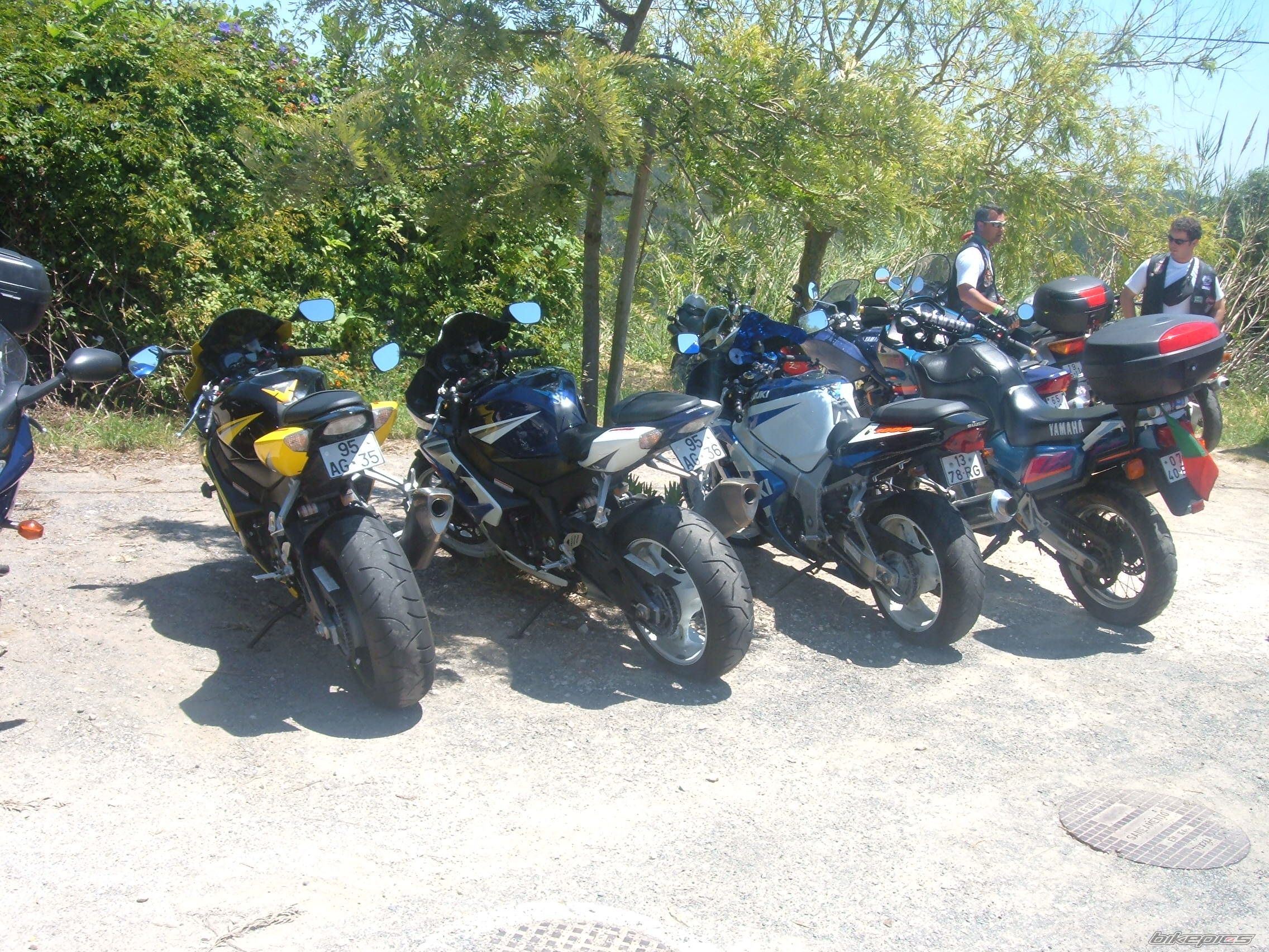 Photo 1314960