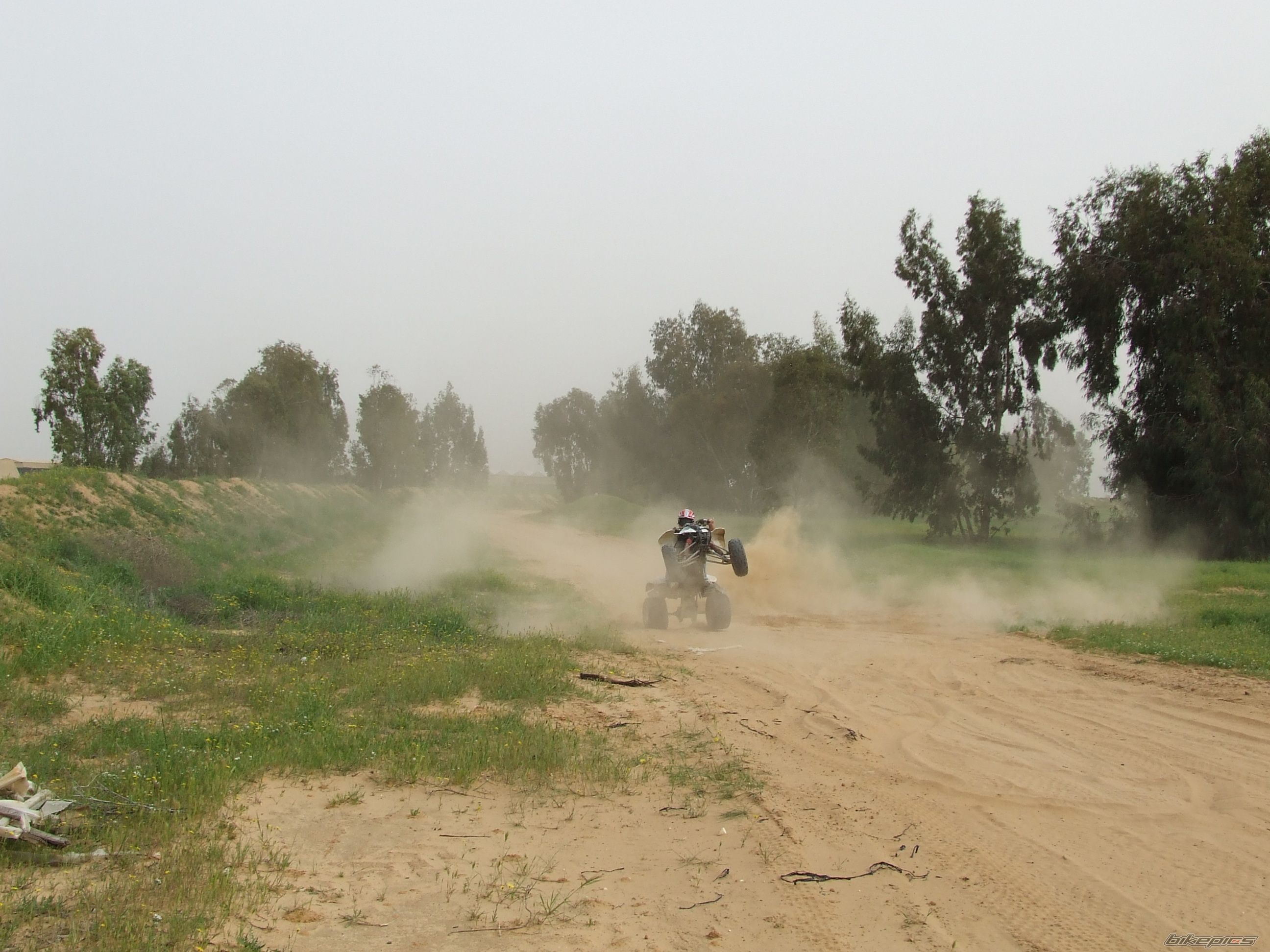 Photo 1315031