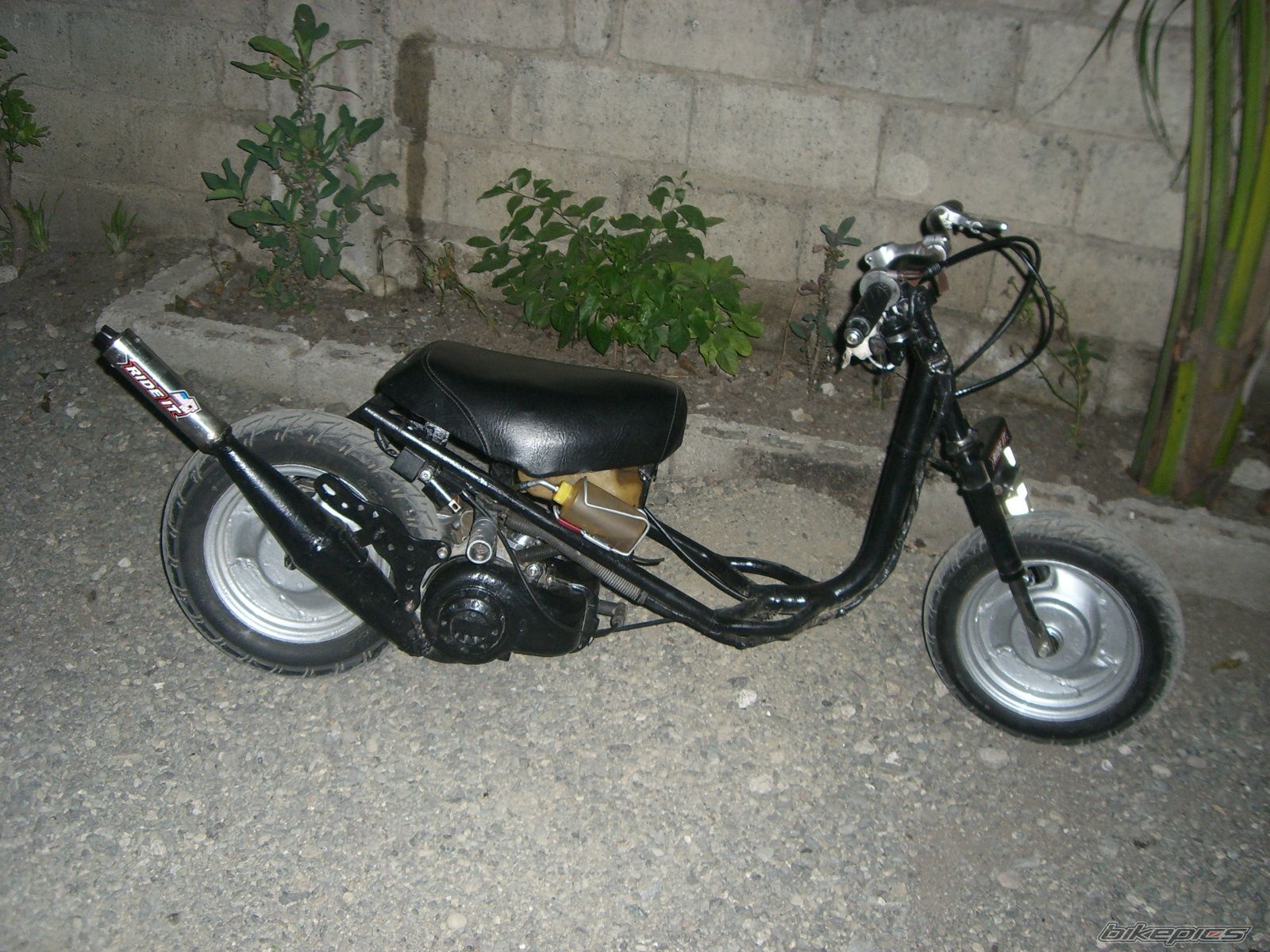 Photo 1315082
