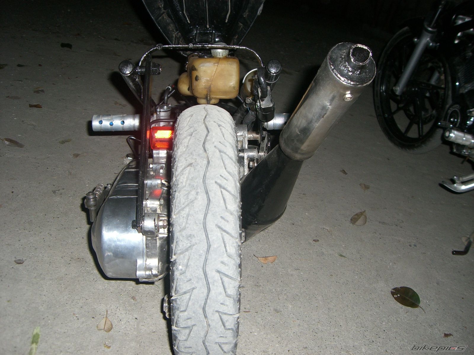 Photo 1315092