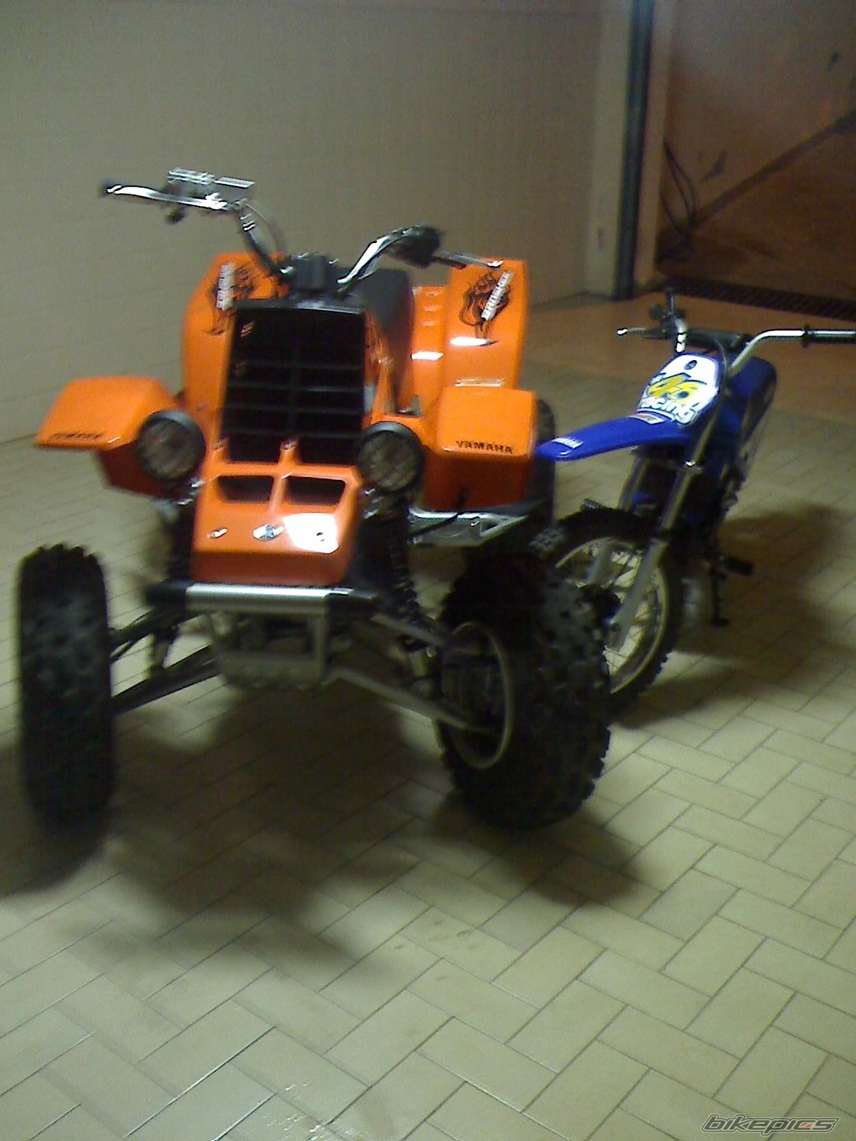 Photo 1315093