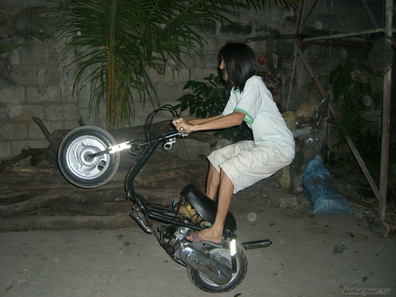 Photo 1315098