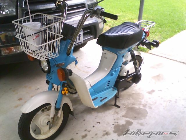 Photo 1315120