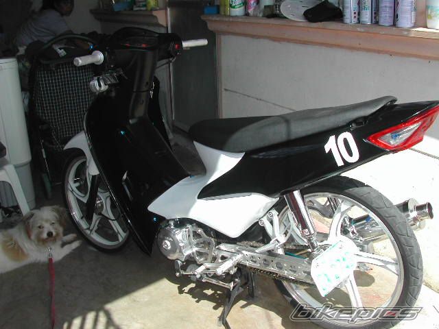 Photo 1315197