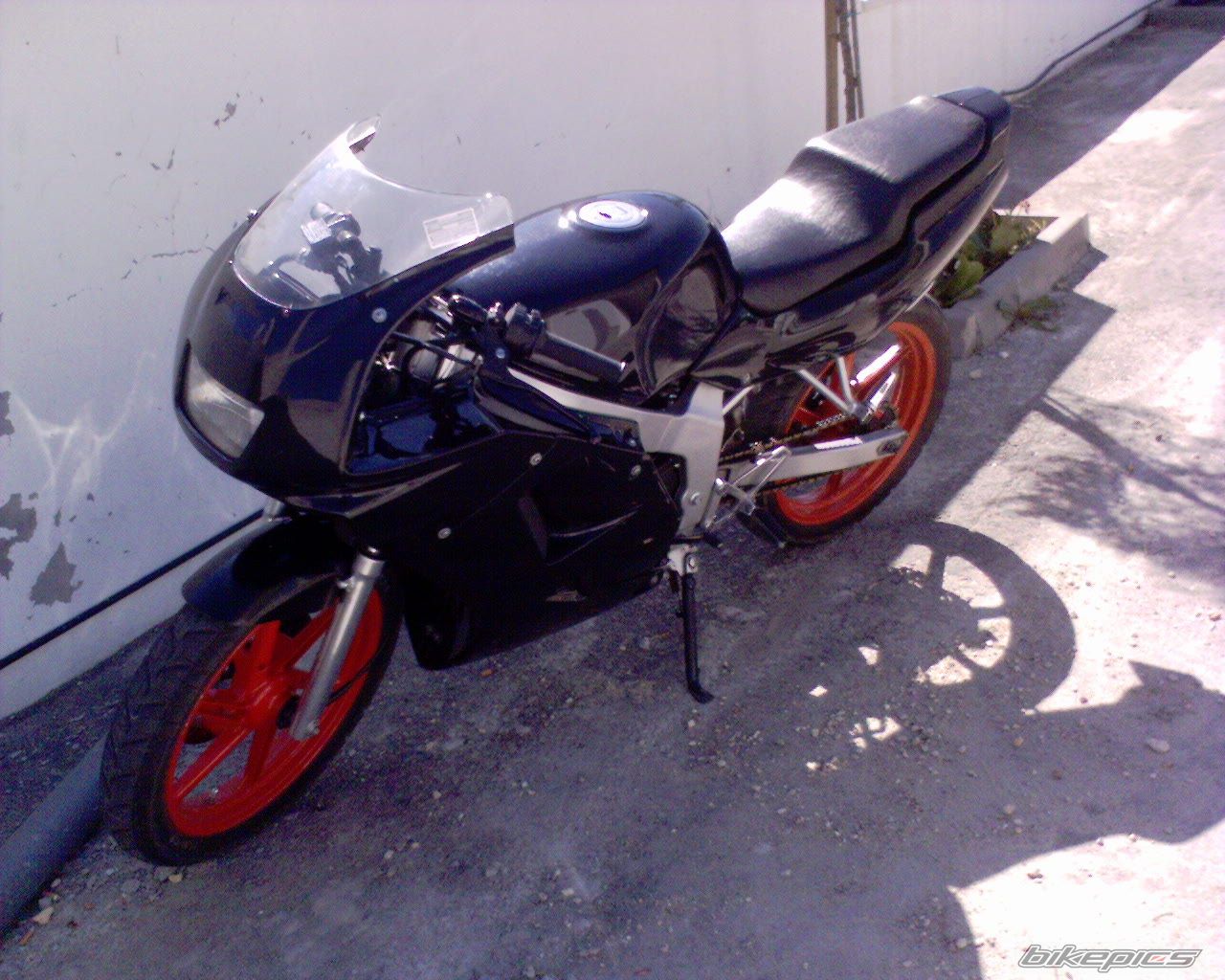 Photo 1315238