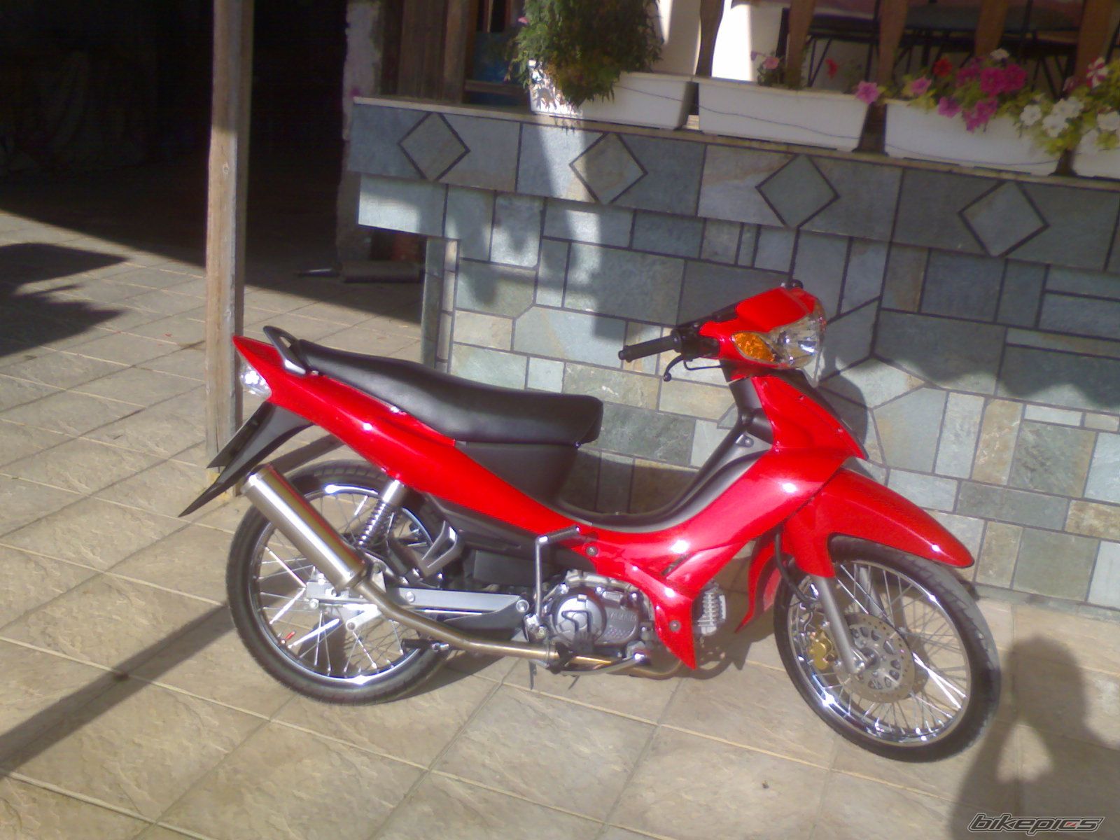 Photo 1315284