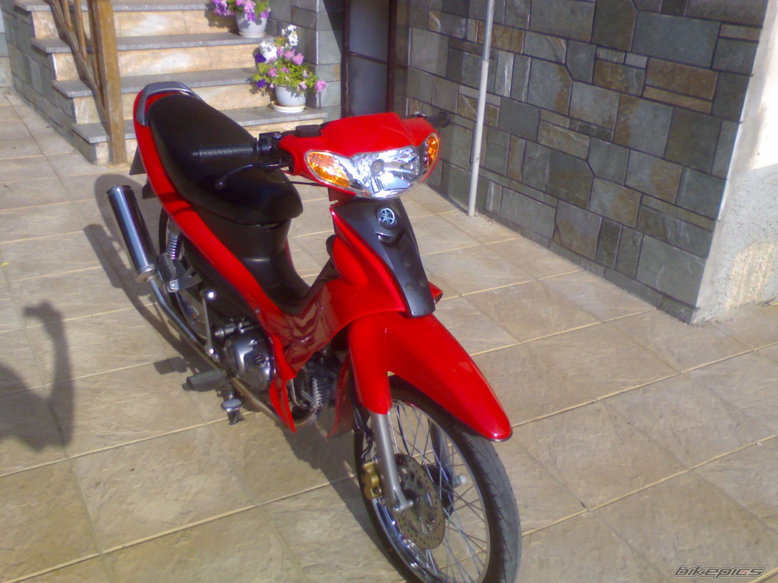 Photo 1315288