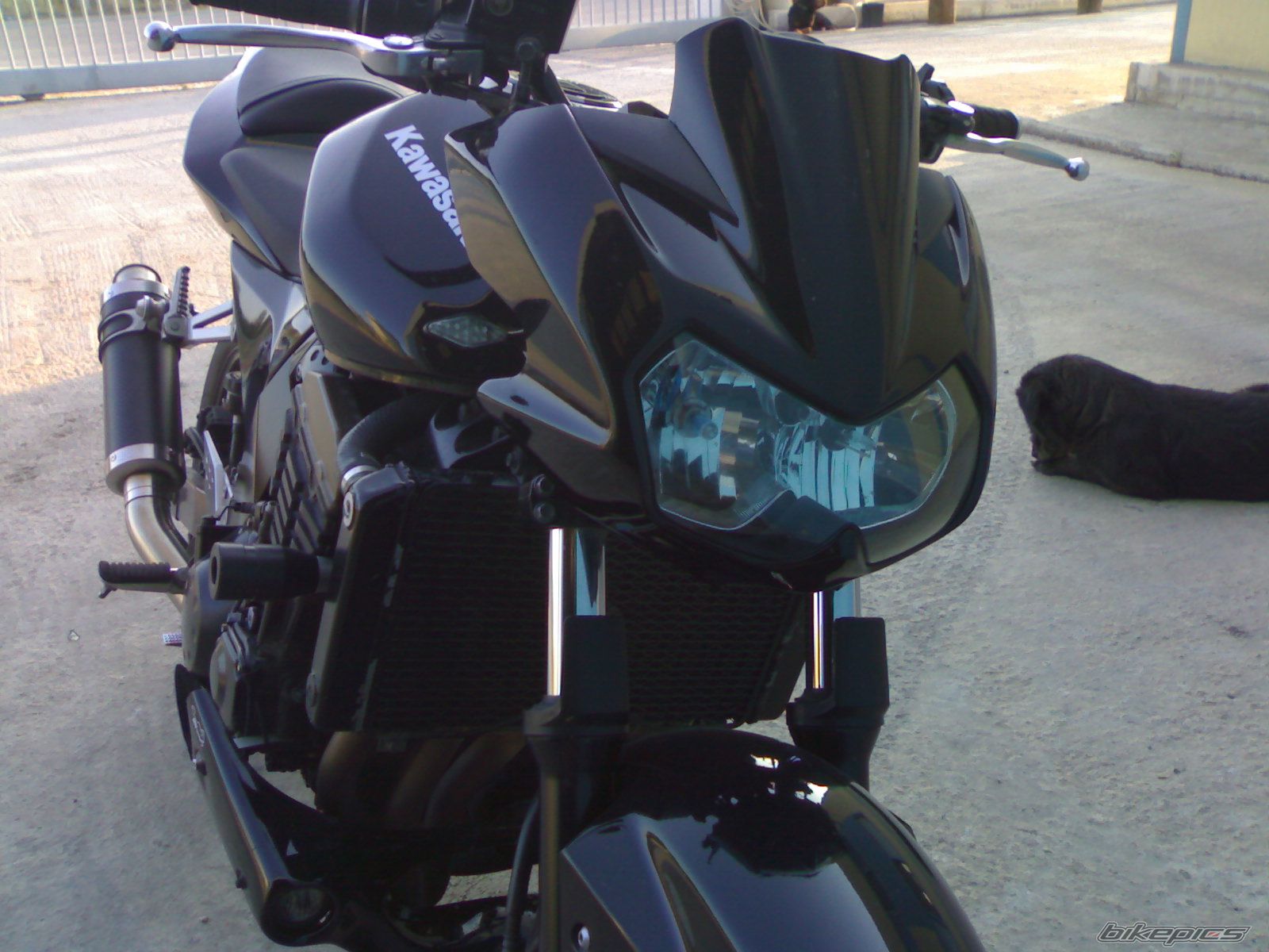 Bike Photo 1315306