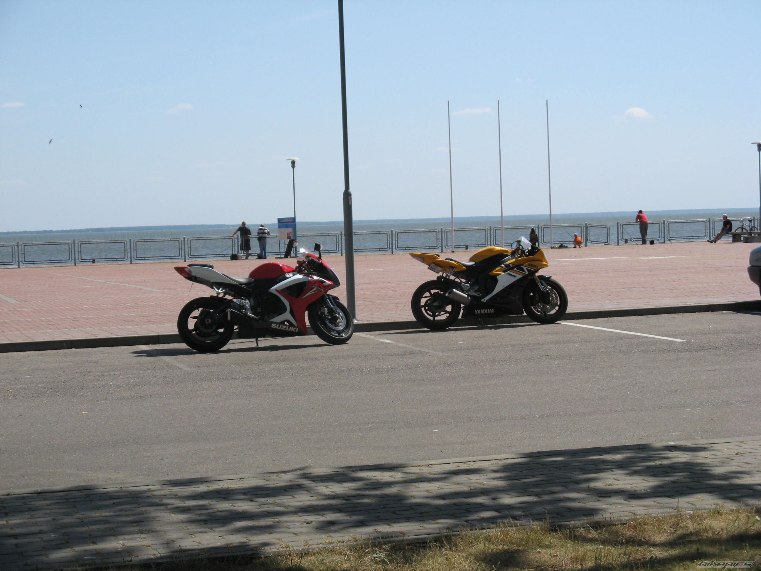 Photo 1315339