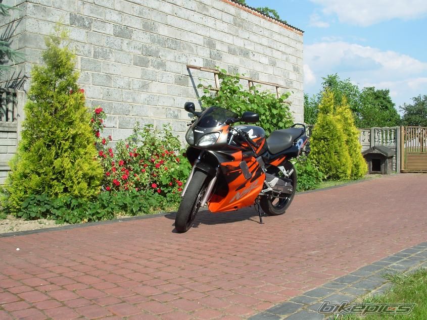 Bike Photo 1315418
