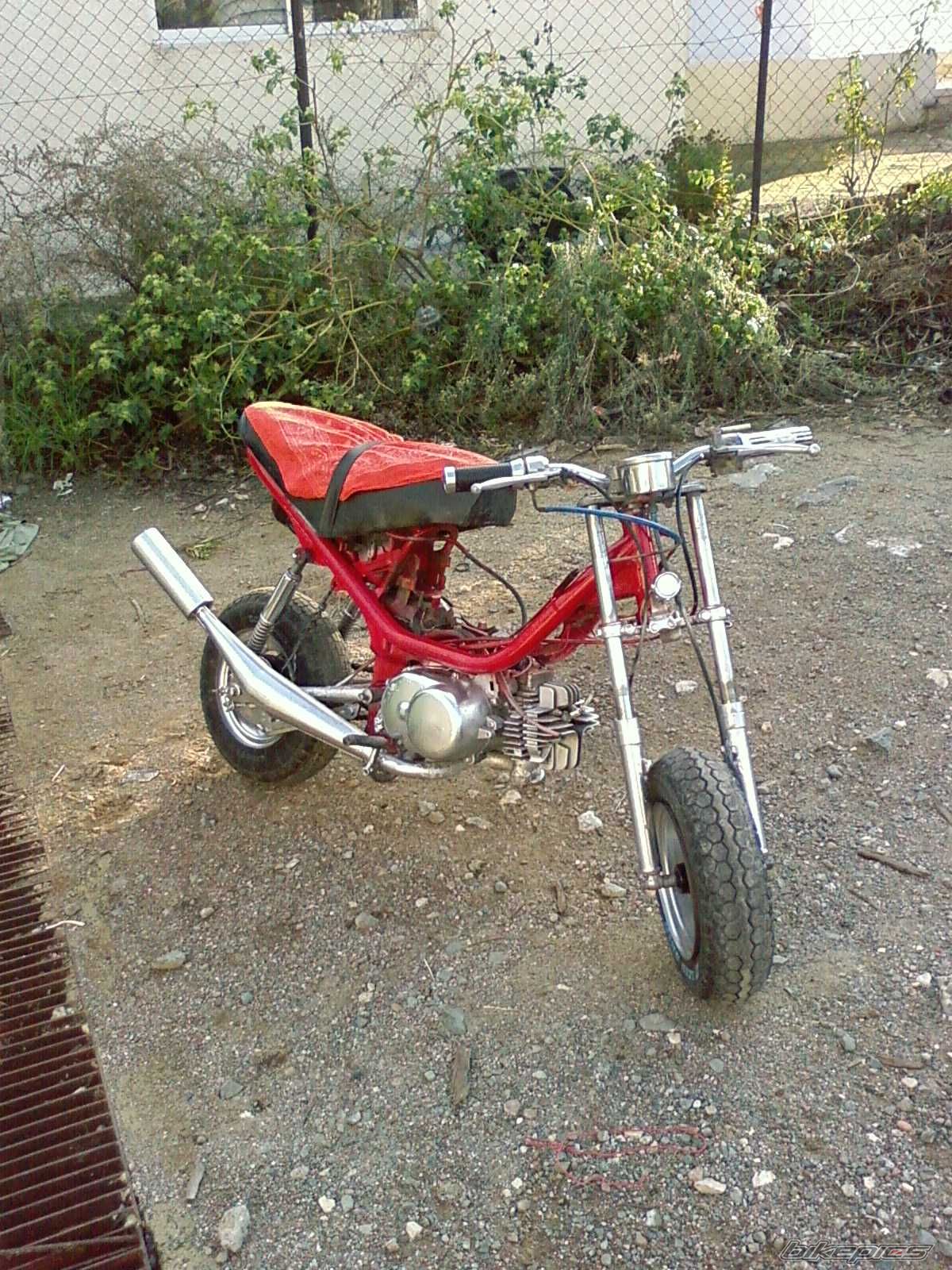 Photo 1315453