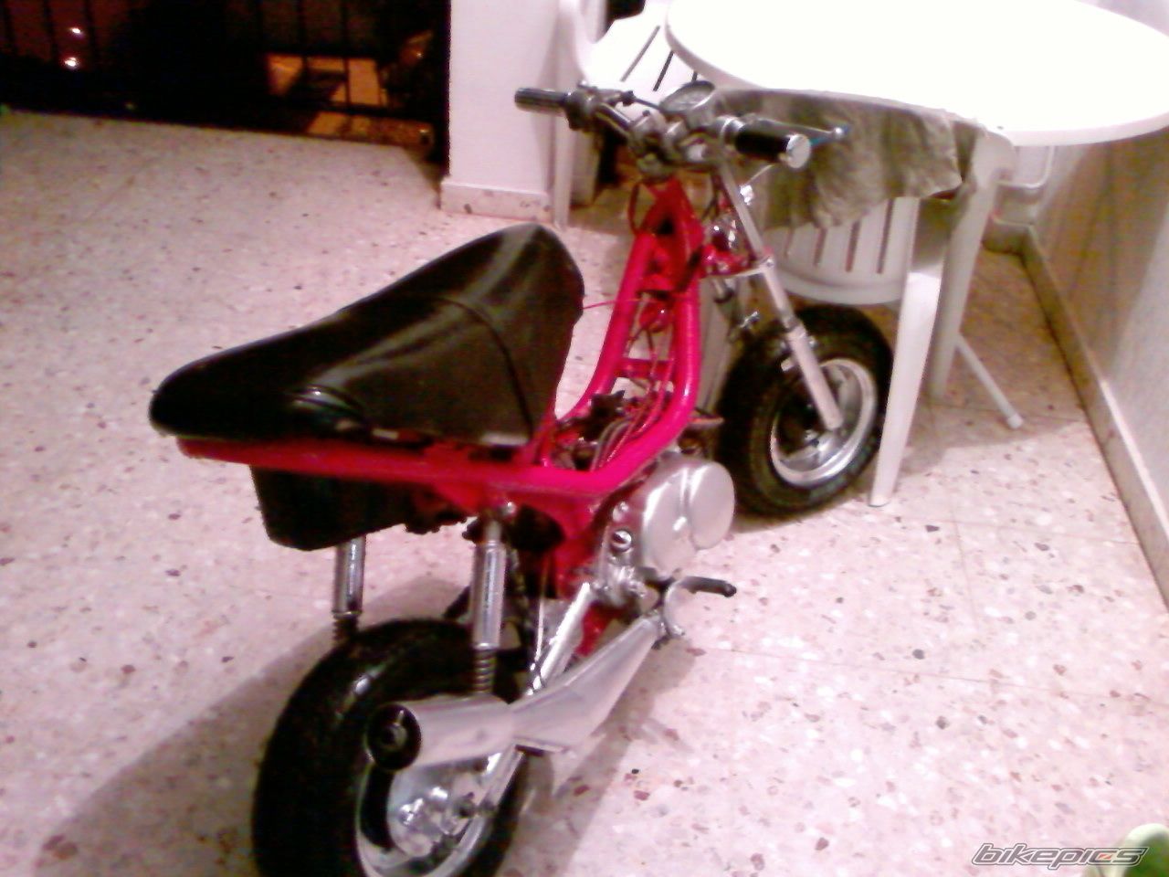 Photo 1315459