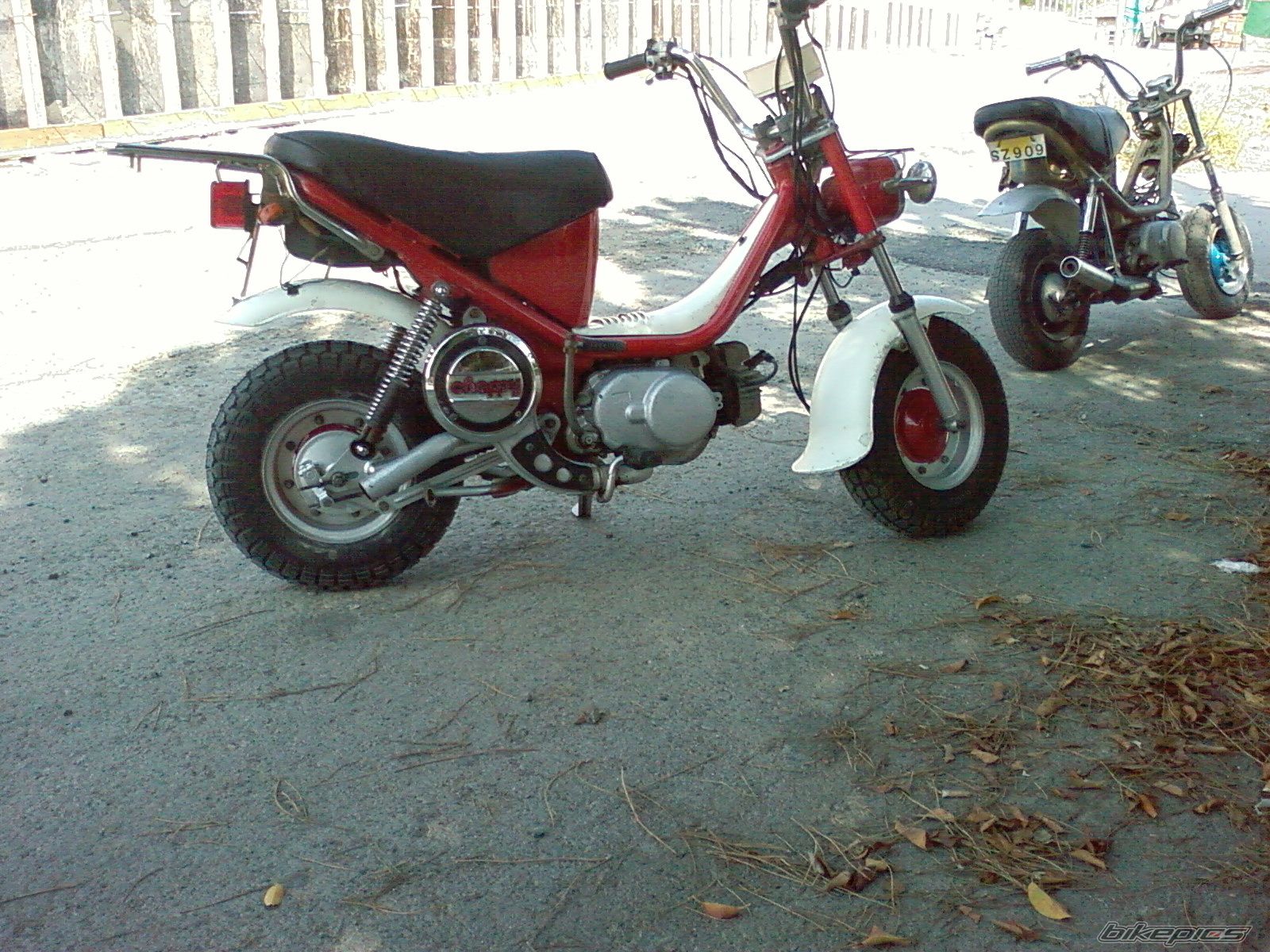 Photo 1315462