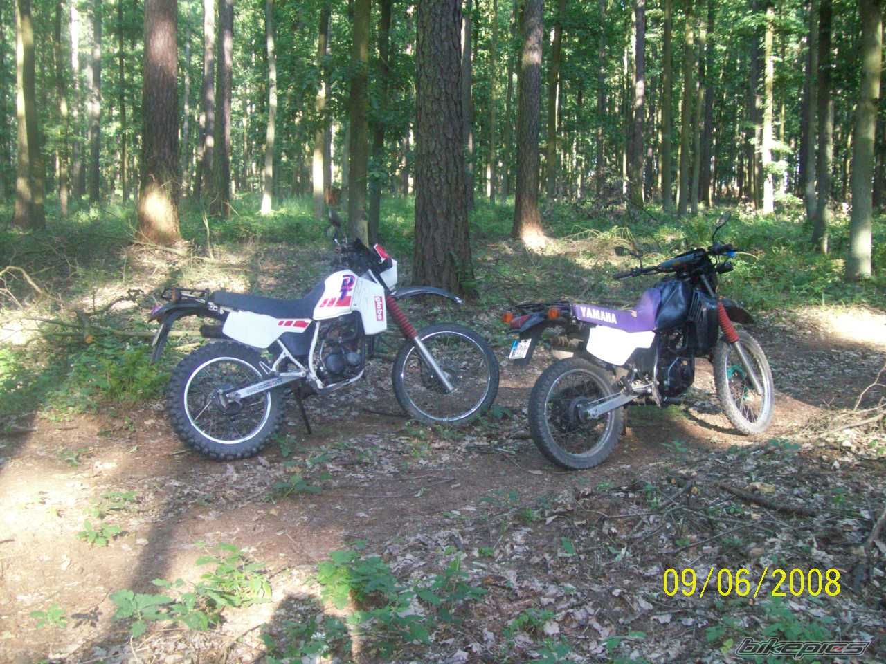 Bike Photo 1315544