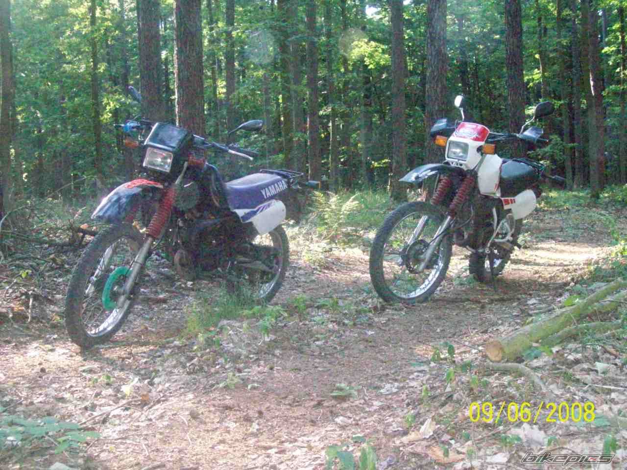 Bike Photo 1315546