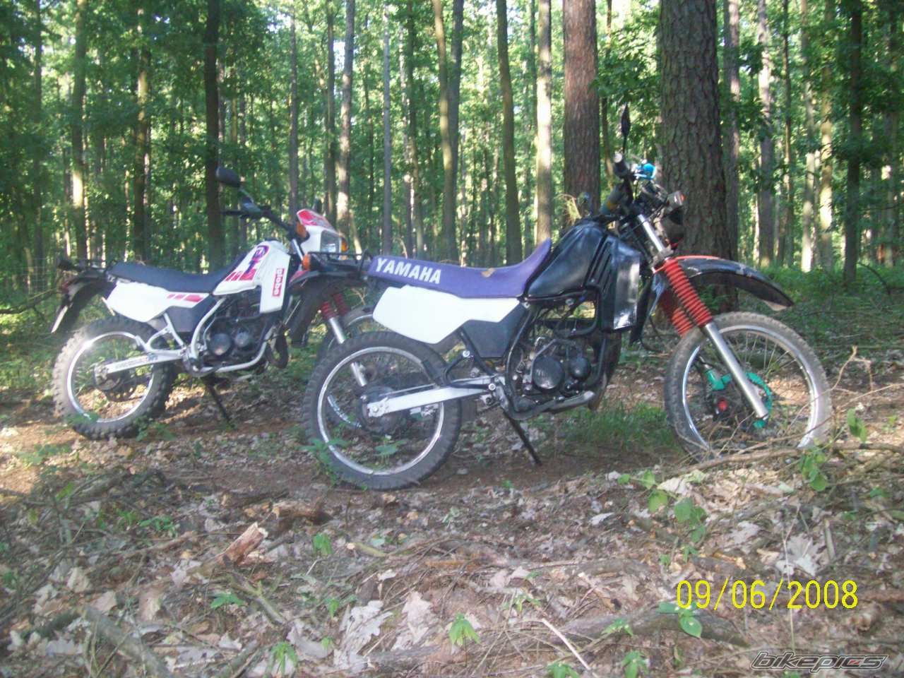 Bike Photo 1315547