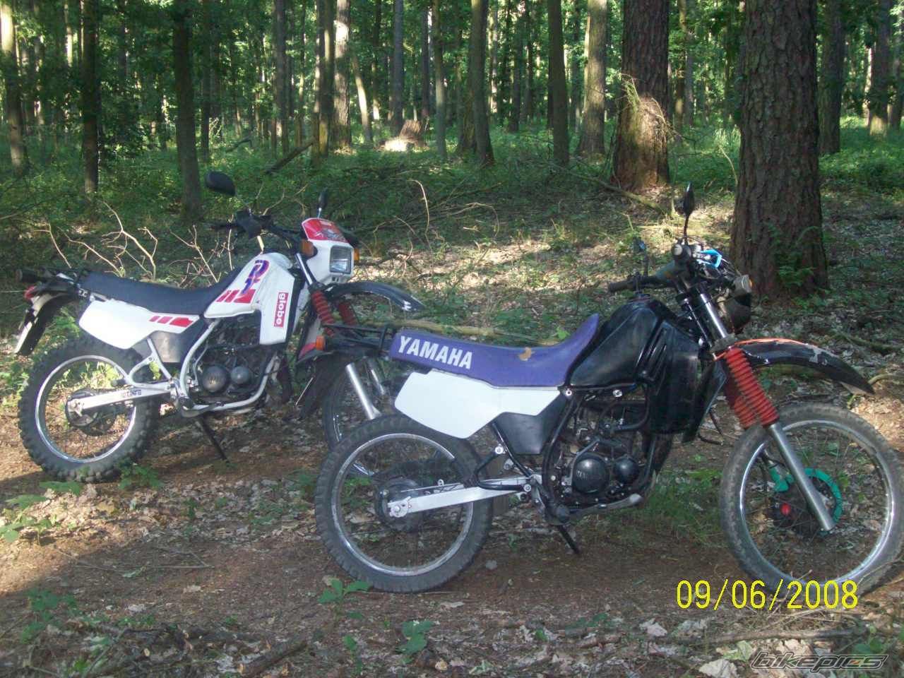 Bike Photo 1315548