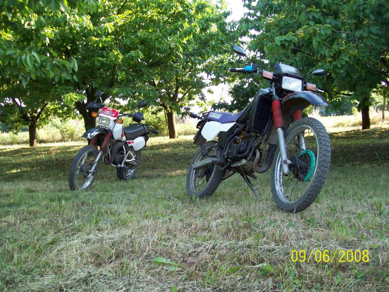 Photo 1315554
