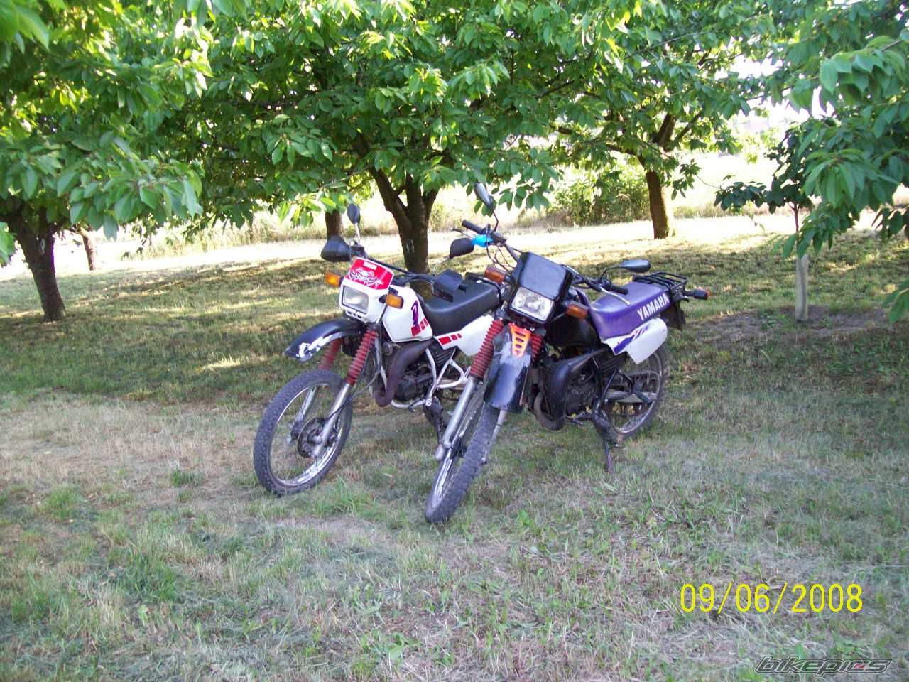 Photo 1315555