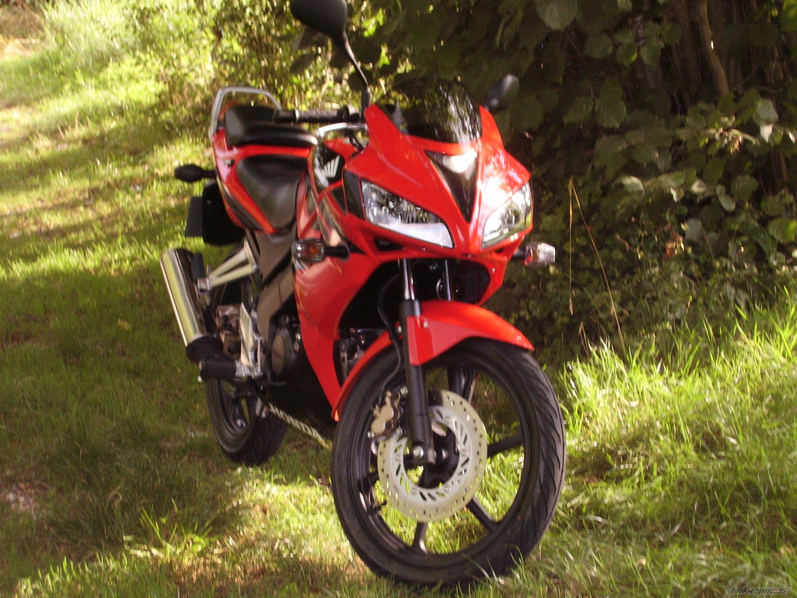 Bike Photo 1315556