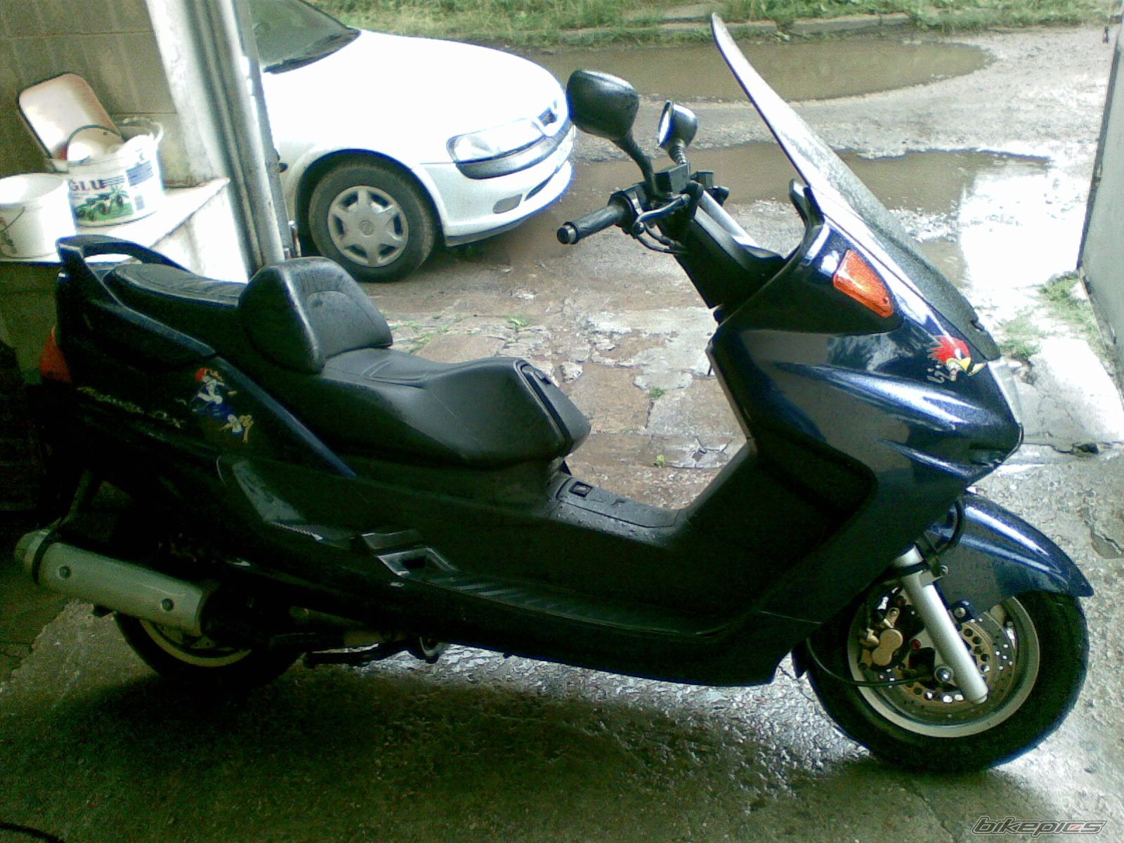 Photo 1315582
