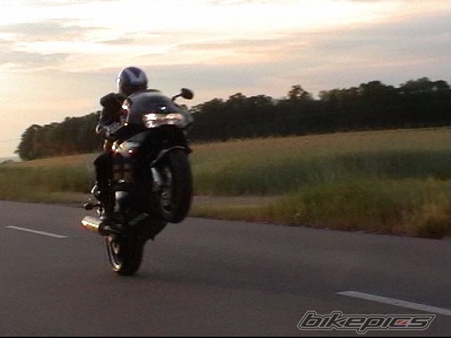Photo 1315601