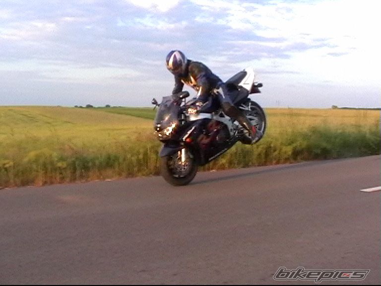 Photo 1315608