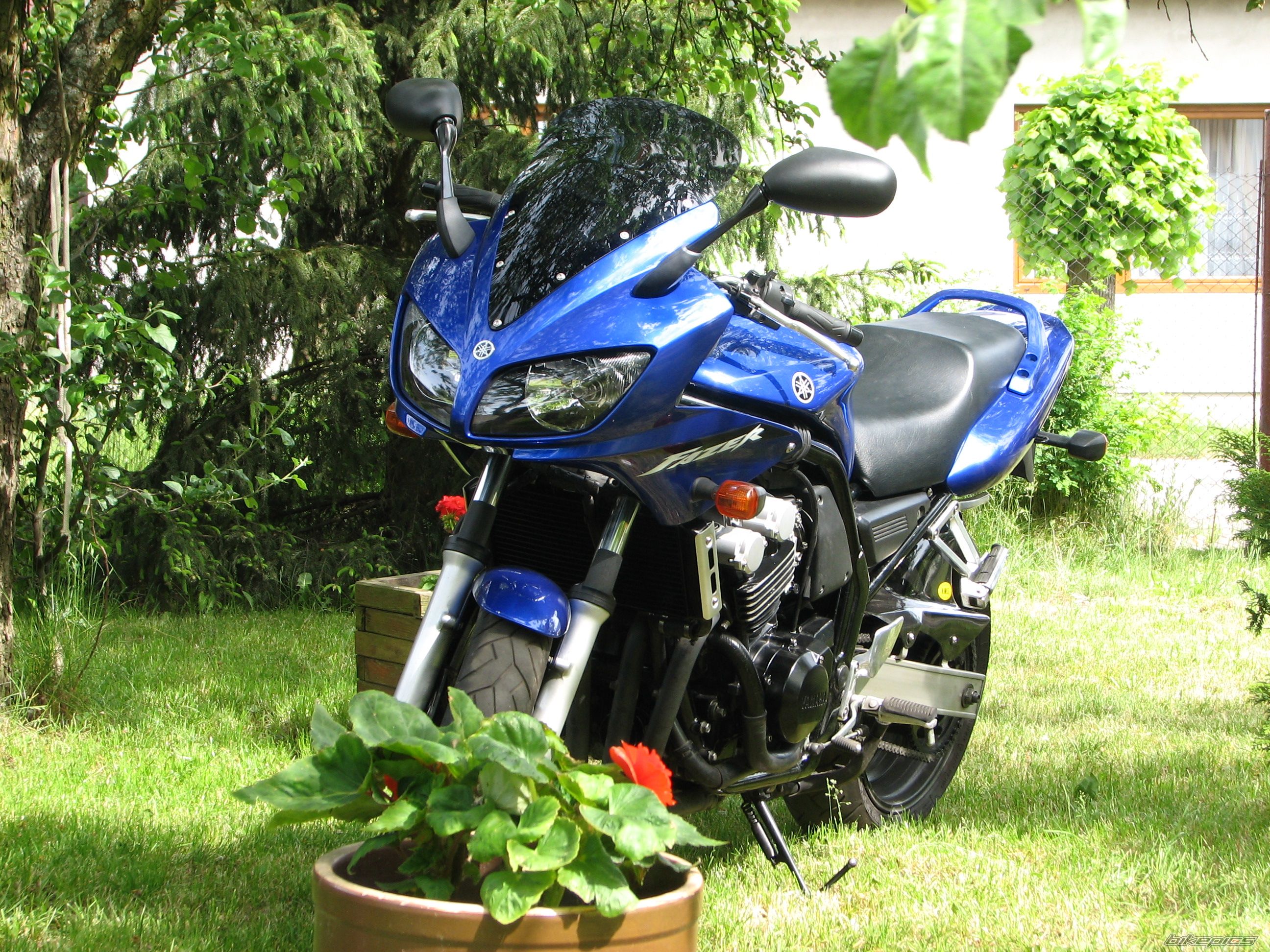 Bike Photo 1315647