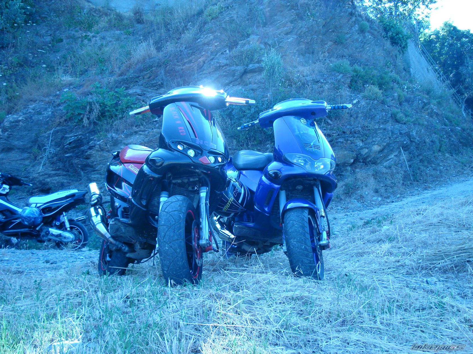 Photo 1315723