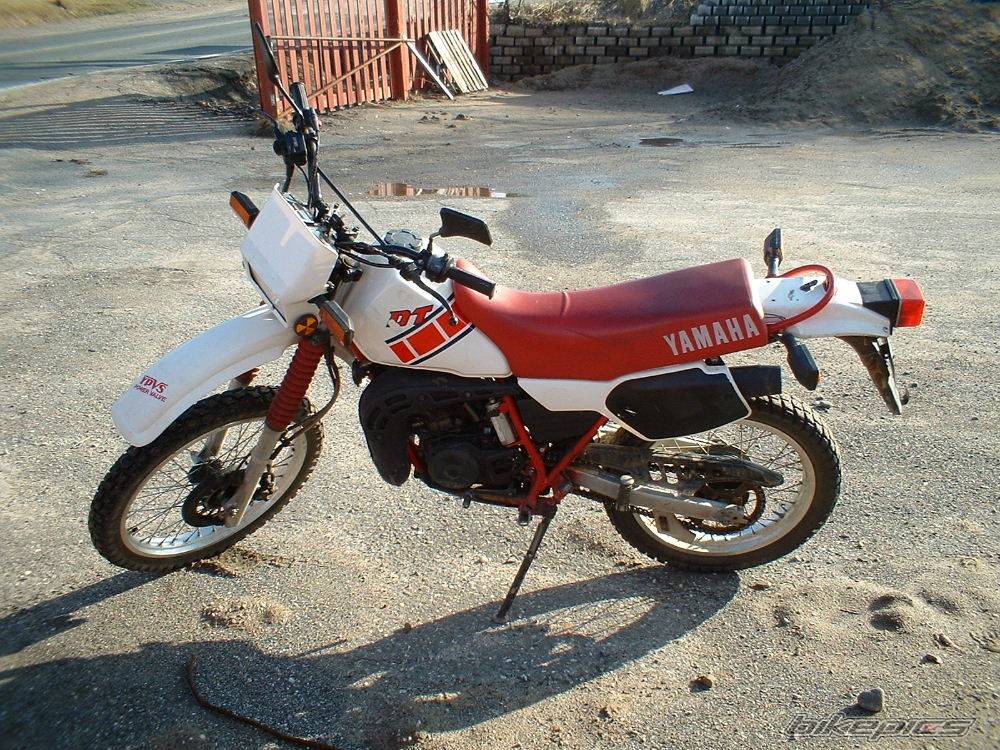 Photo 131573