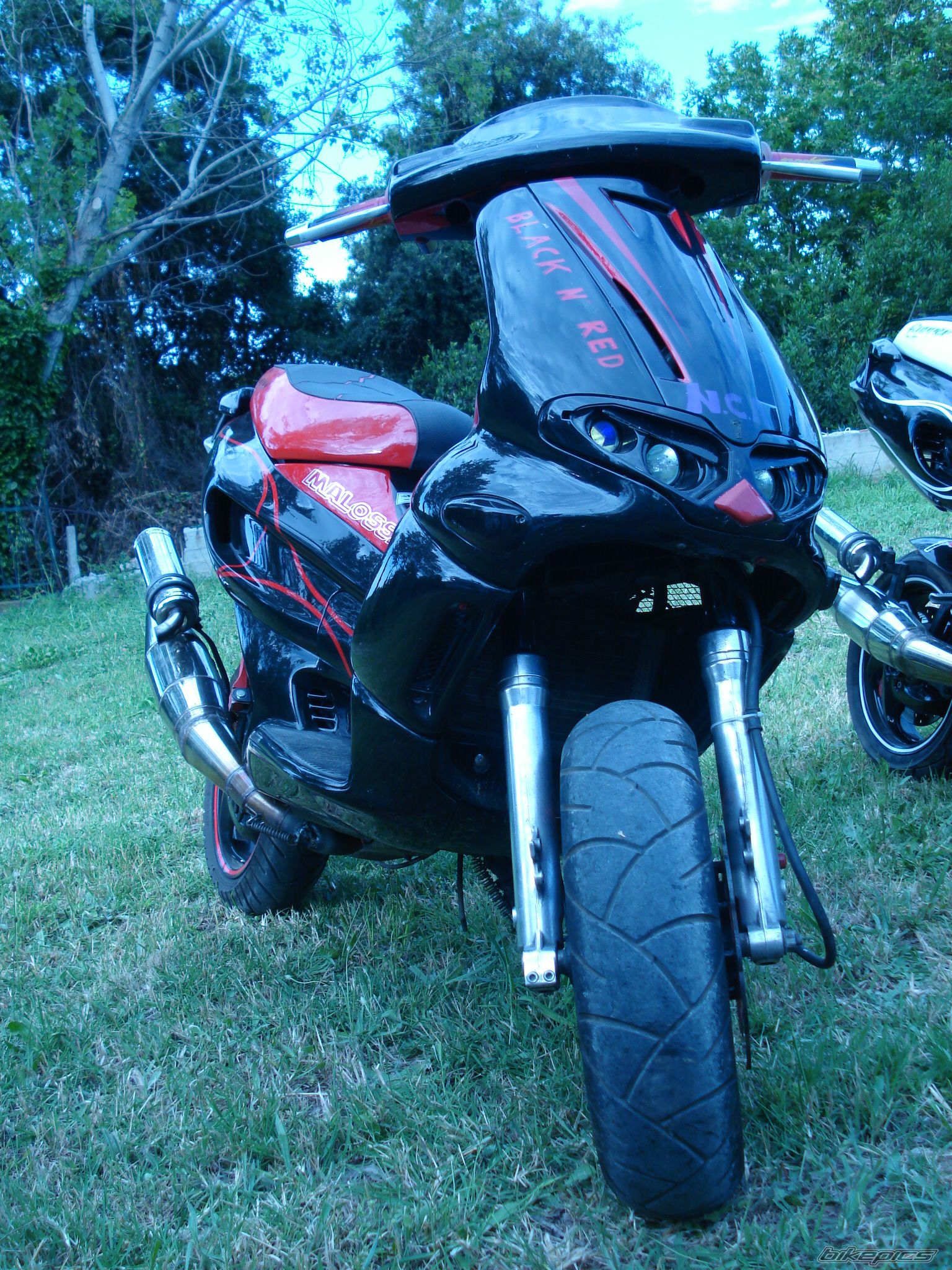 Photo 1315734