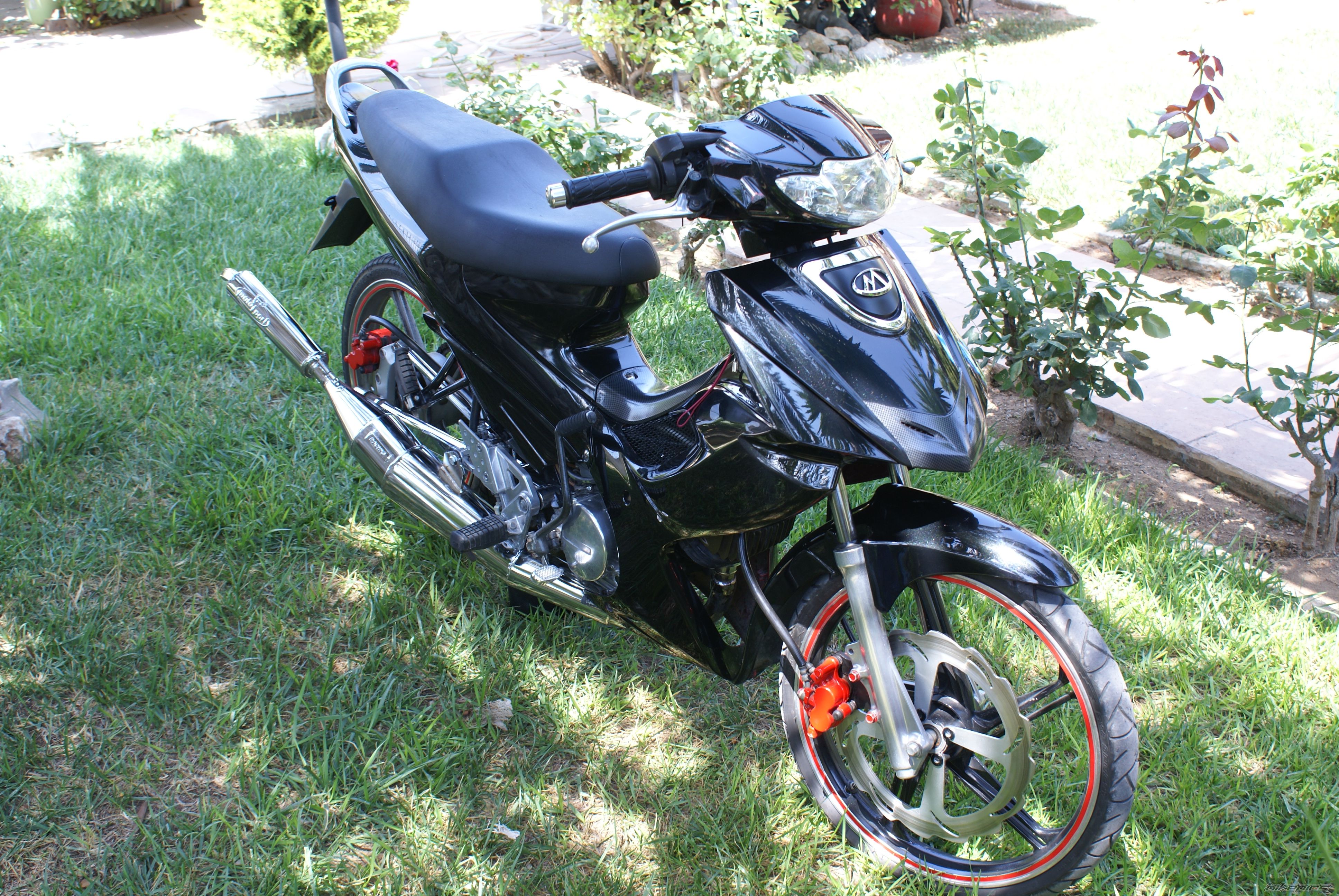 Photo 1315771