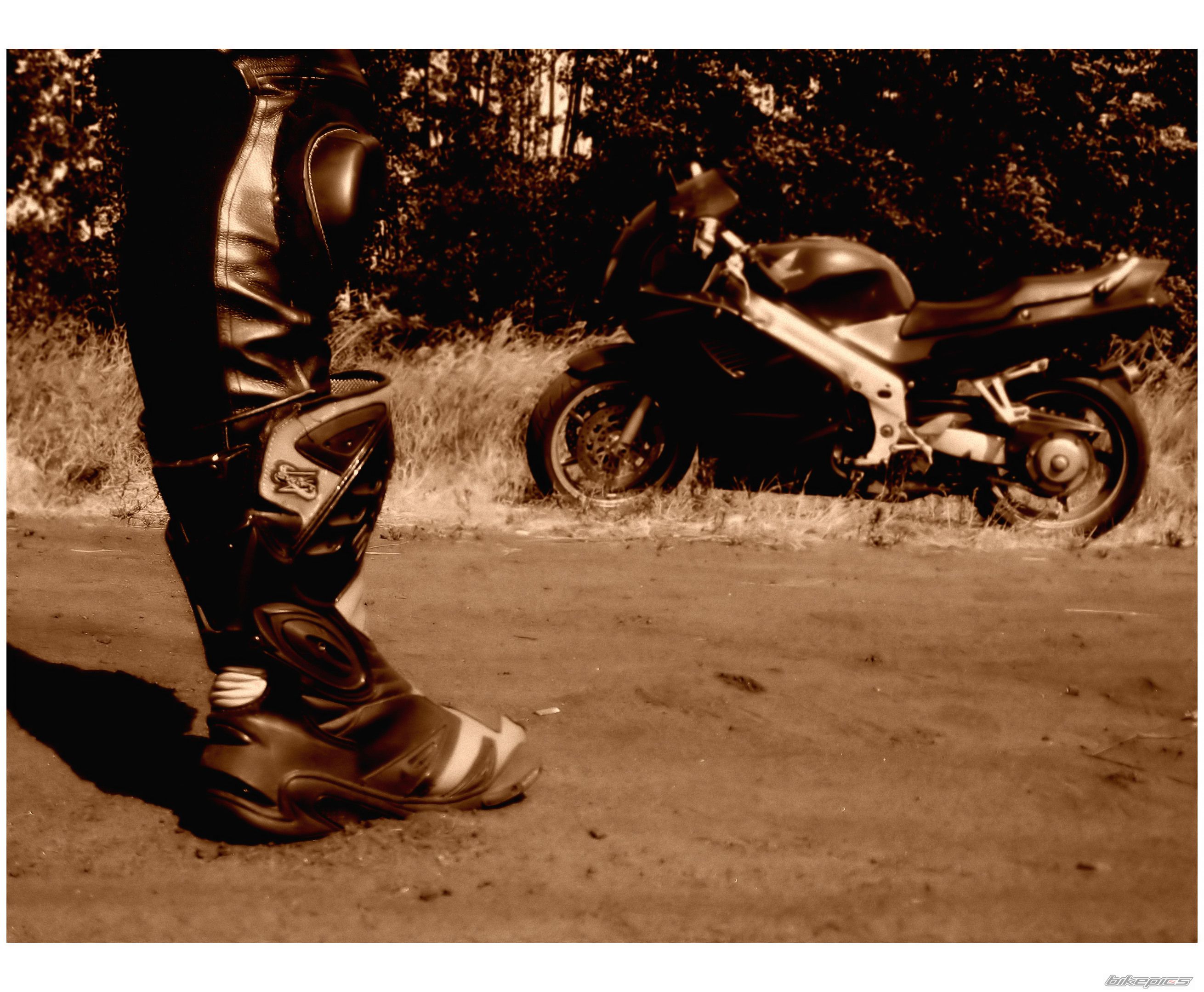 Photo 1315776