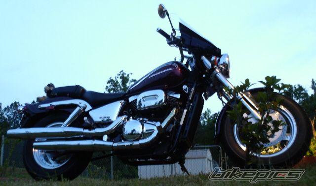 Photo 1315857