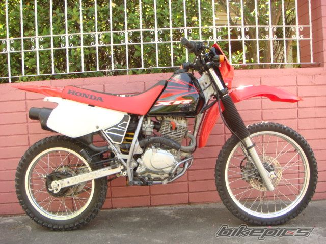 Bike Photo 1315865