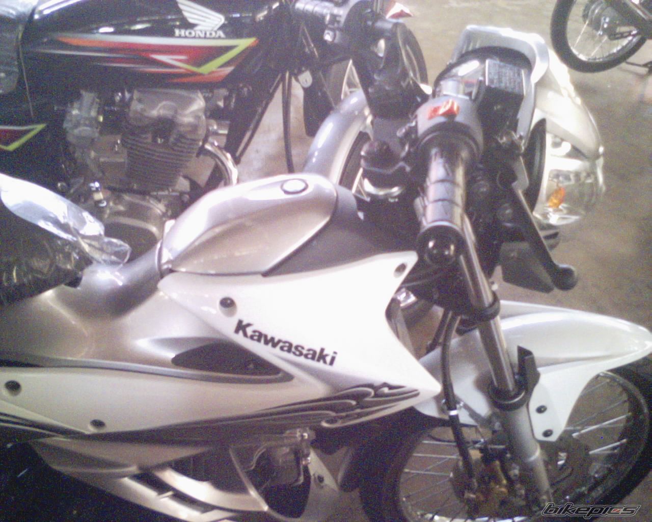 Photo 1315940
