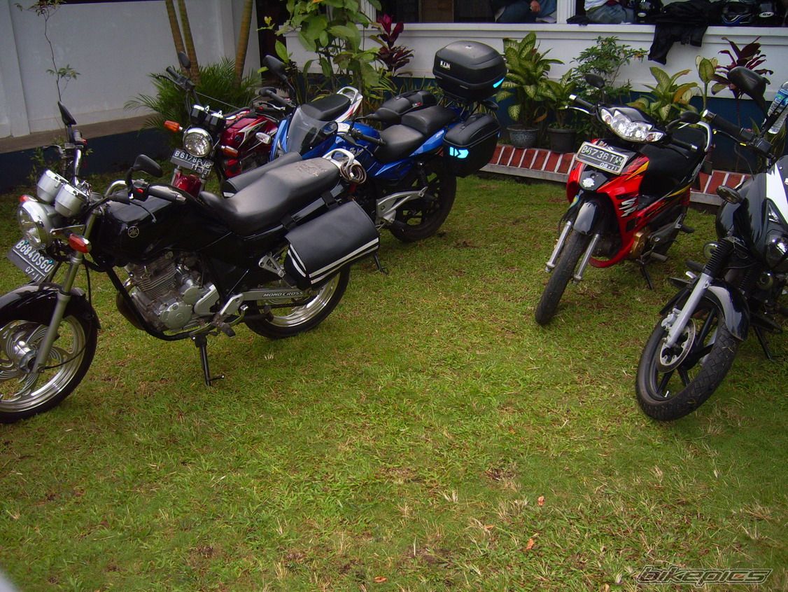 Photo 1316022
