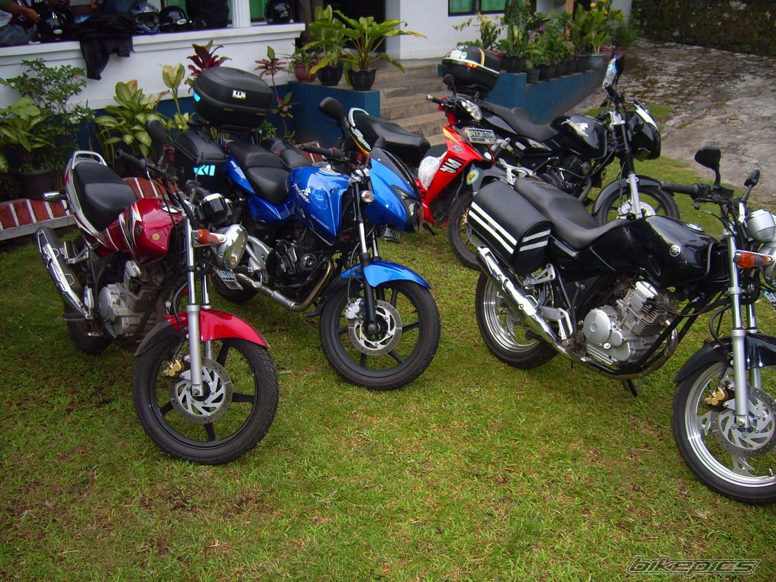 Bike Photo 1316029