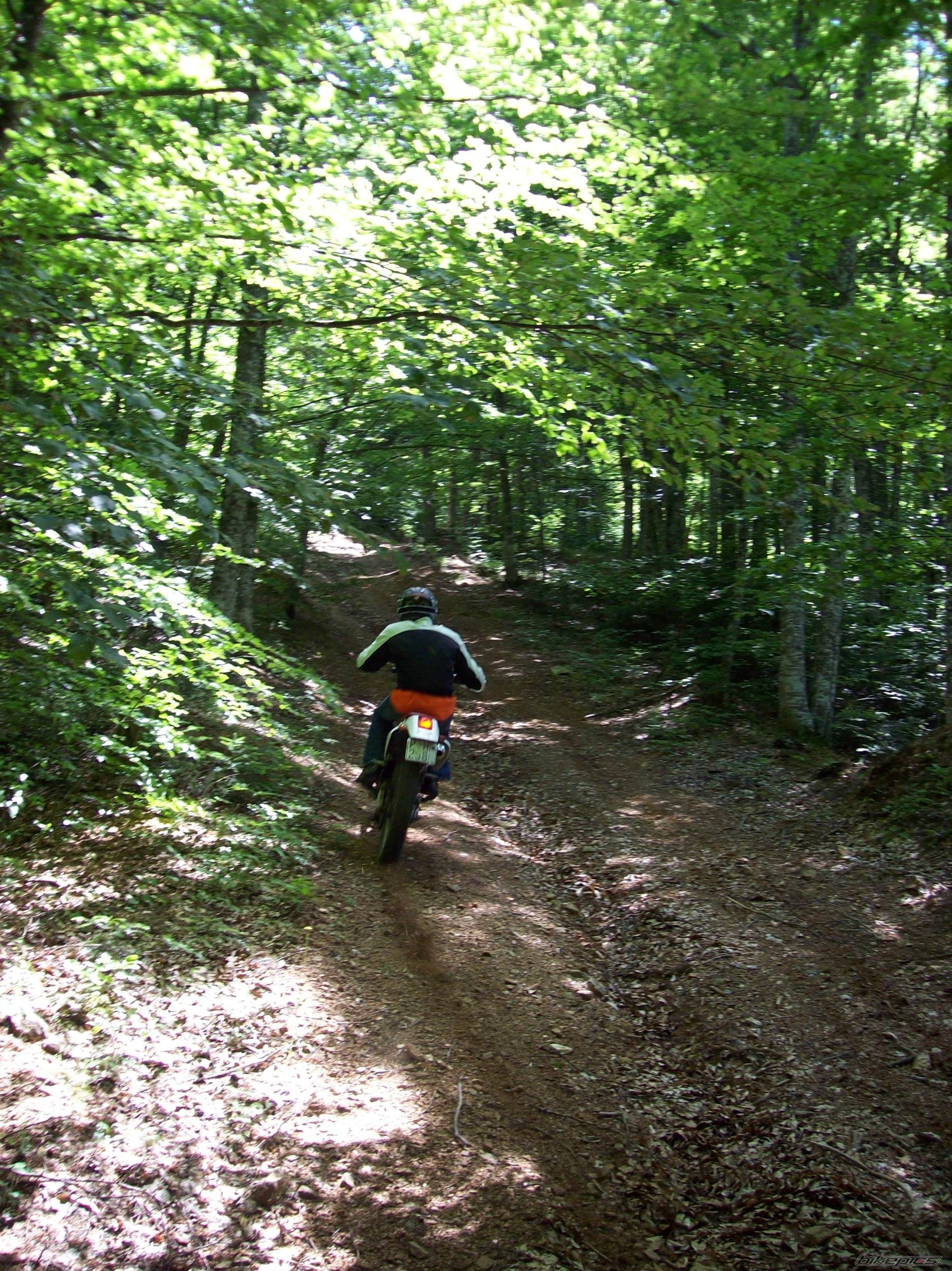 Bike Photo 1316119
