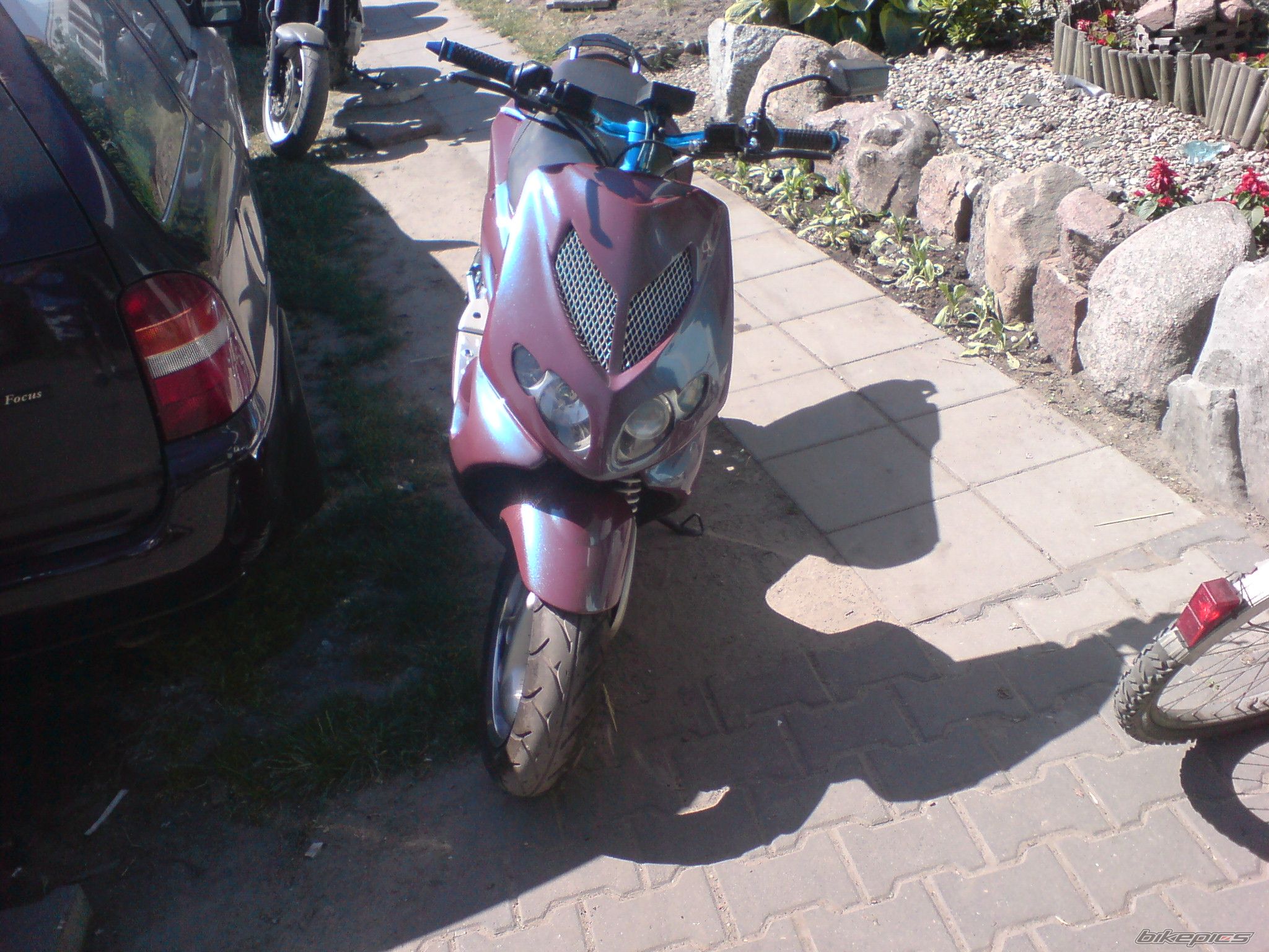 Photo 1316133