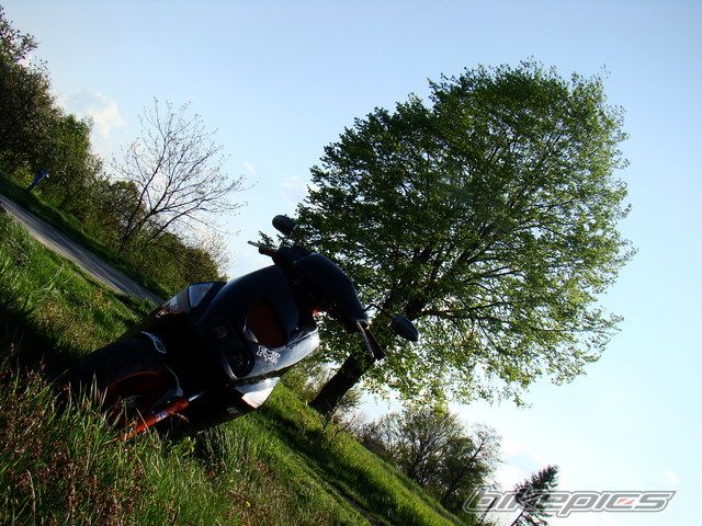 Photo 1316167