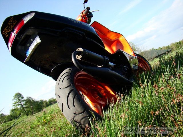 Photo 1316168