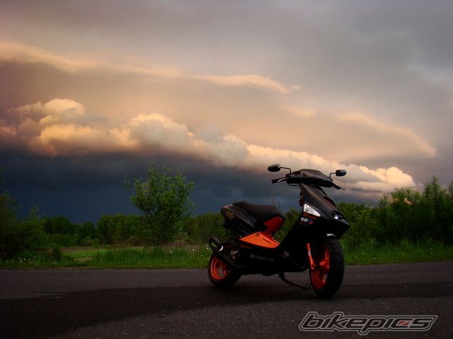 Photo 1316169